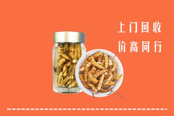高价求购：丁青县回收冬虫夏草